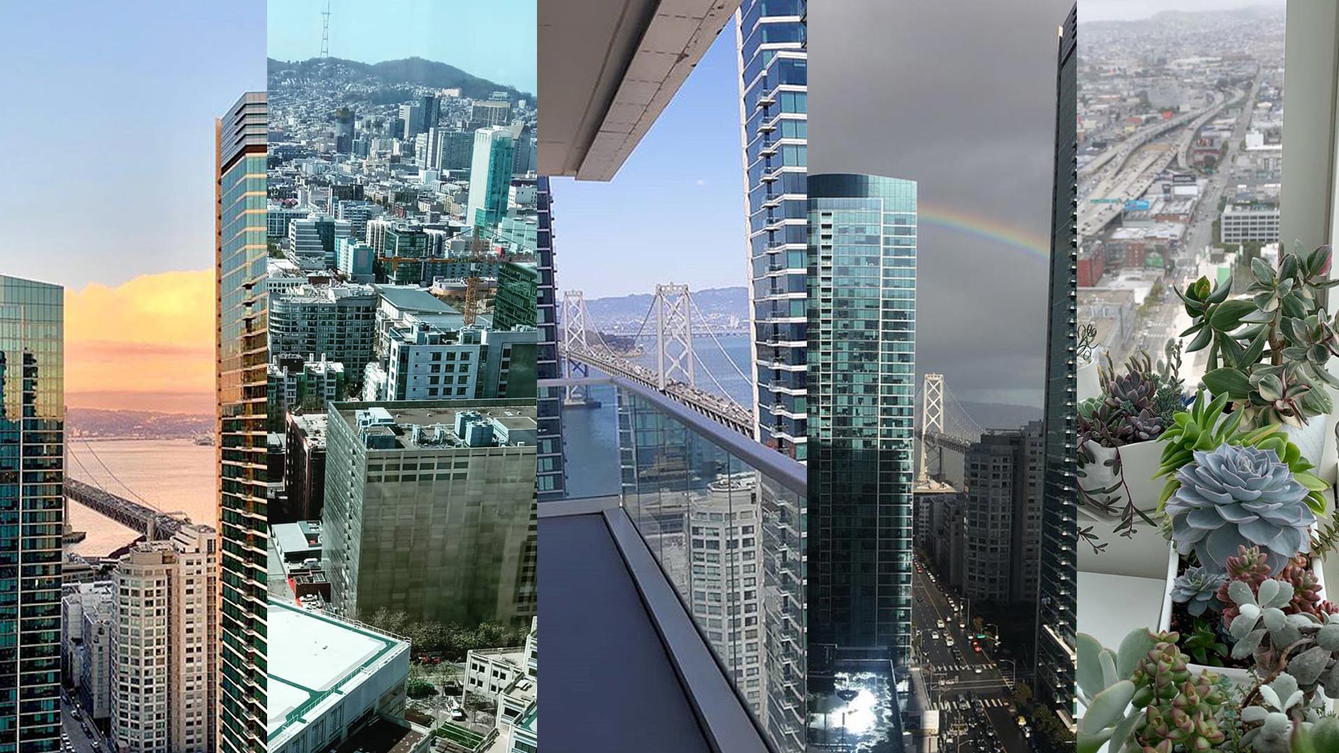 Experience Jasper Jasper San Francisco Apartments